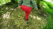 Pregled videozapisa