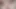 Oiled shaved uncut big cock edging 285