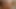 Stepsisters cock worship oil massage handjob and foot job 4K