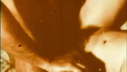 Ein riesiger großer schwanz für eine wilde, böse schlampe