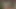 Amberleigh West Cumtribute #1