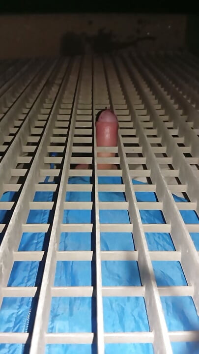 Watch porn and fuck bars