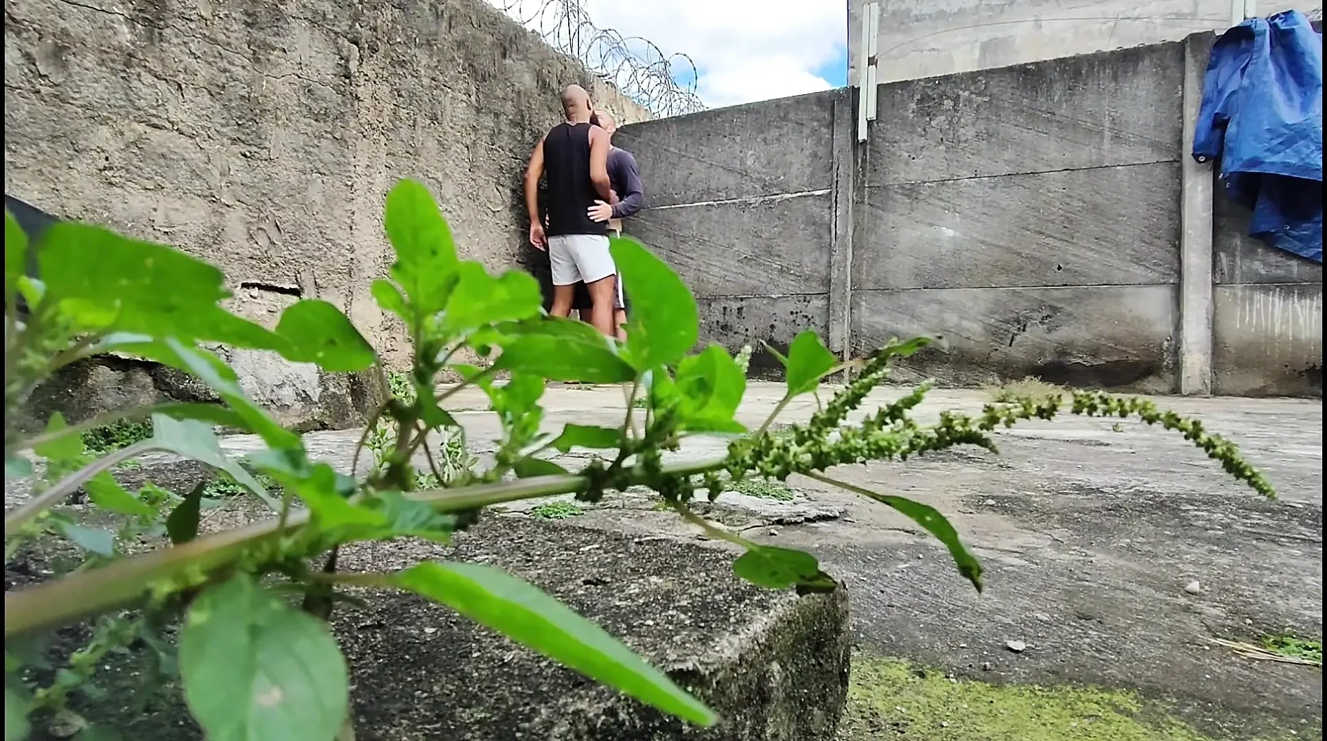 Ngentot dua pria straight di hutan sambil direkam kamera