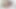 ルナとマジックが浴槽で楽しんでいる