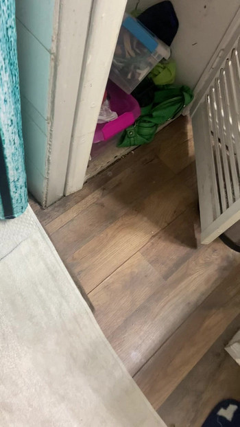 Pregled videozapisa