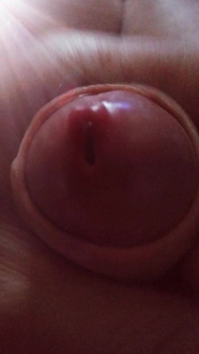 Wank