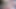 Solo masturbation (122)