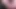 Tamil aunty was sitting on the chair and working I gently stroked her thigh and sucked so many breasts and had hot sex with her.