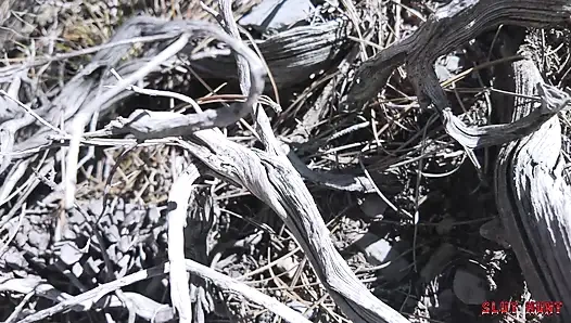 Lubang pelacur hunting ep.7 xxlayna dieksploitasi