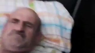 Orso turco che si masturba