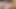 Gangbangcreampie - debut bokep pertama sadie summers si cewek hot rambut pirang di-gangbang habis-habisan sampai dicrot di dalam