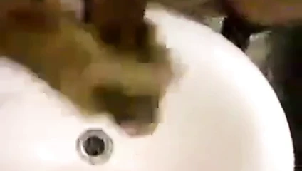 Eğlenceli zamanım!!