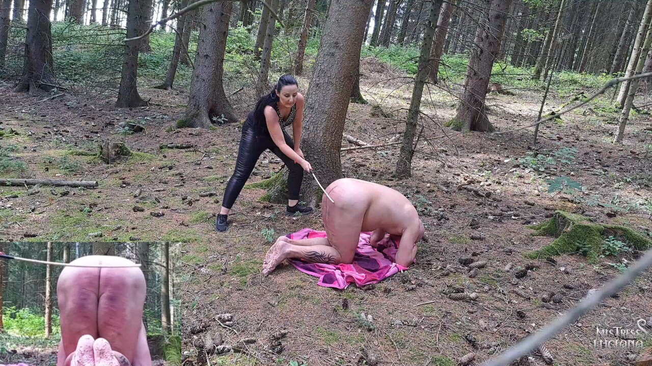Golpes de caña en el bosque 1