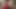 Amateur Brunette Masturbation – Cumshot on Her Natural Tits