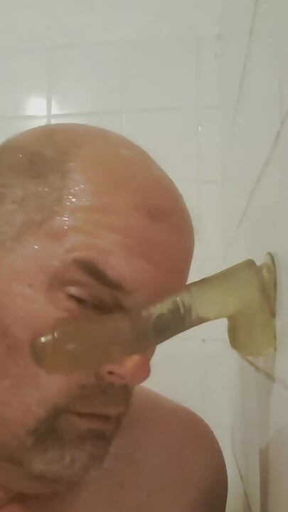 Con chó cái phải bú