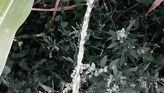 Un pipi dans la nature