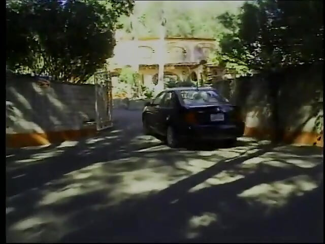 בחורה חמה אוהבת כשהן מלקקות אחת לשנייה את הכוסות הרטובות בחוץ