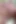 Bir mezarlıkta seksi bir dul nasıl teselli