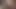 Kakak tiri nunjukin tampilan barunya yang seksi dan dientot sama adik tirinya sendiri