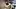 Morning Masturbation while wife sleeps 1