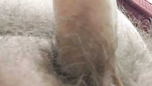 Austrian porn video – Mein kleiner schwanz