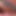 Cassie Lane ve Candy Manson için özel ıslak lezbiyen günü