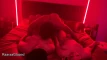 Videovoorvertoning
