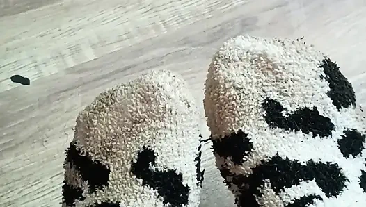 Quit stealing my socks jack