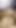 Throbbing cumshot in a hairy belly