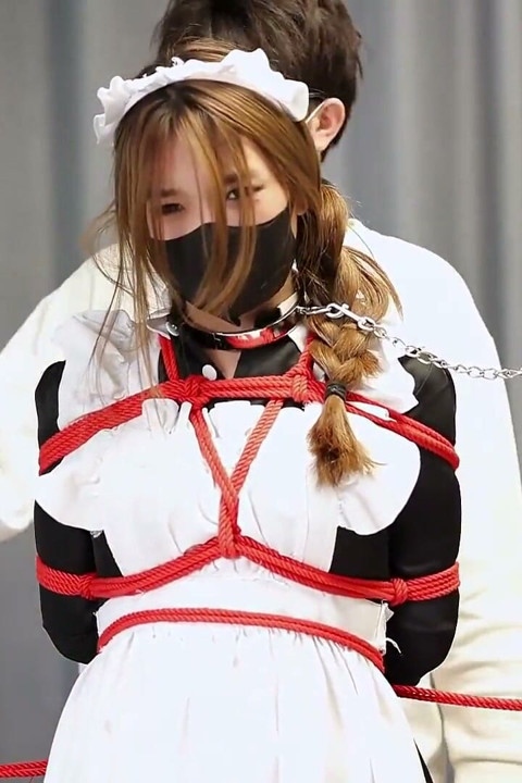 The Maid's Standing Restraints Merged with the Metal Bracket
