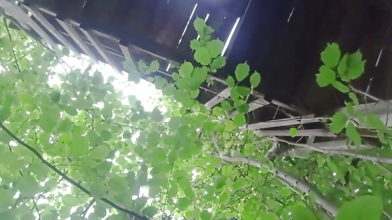 Outdoor Masturbation