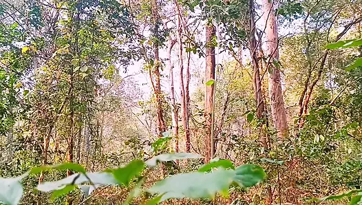 Desi Outdoor Jungle Fuck. Stepmom and Stepson Hardcore Fucking in Forest. Telugu Dirty Talks.