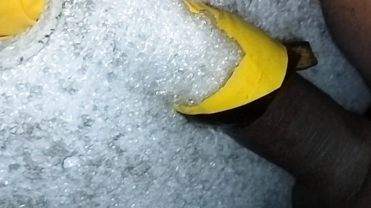 Beauty Cock