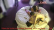 Pregled videozapisa