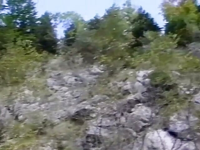 지펠슈튀르메르 (1993)