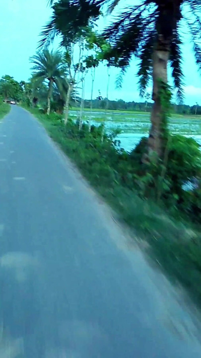 Nice scenery