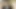 Cum eating asian teen sucks dick