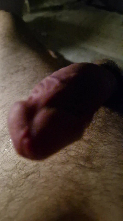 cock