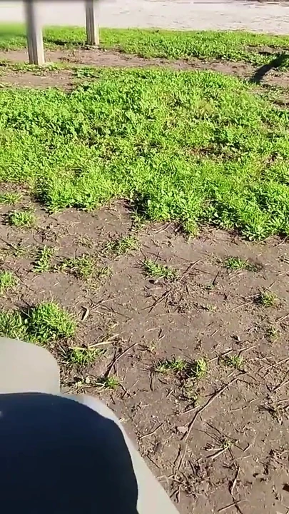 Key moment from "FLASHING my COCK in front a everyone in a PUBLIC PARK and my STEPDAUGHER HELPS me CUMSHOT - REAL SEX RISKY"