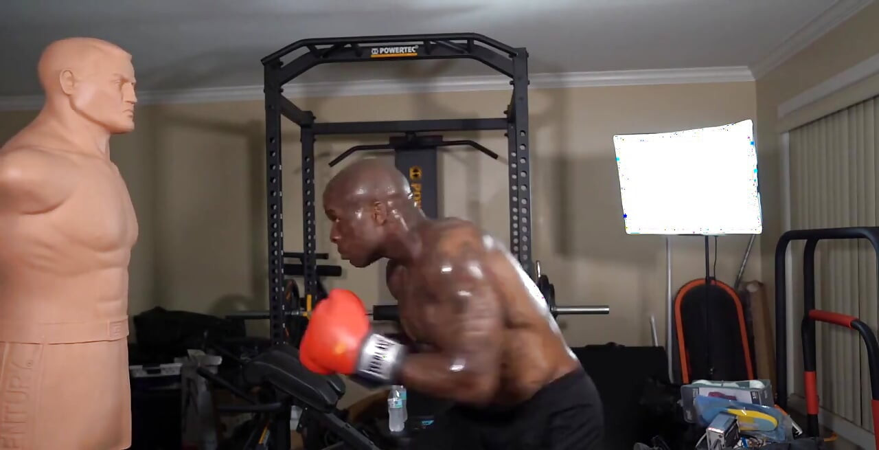Boxing Workout Resistance Exercises Should Initially Focus on Optimizing Ideal Movement Patterns. Once a Client Displays Adequat