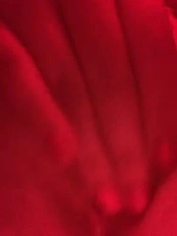Pussy