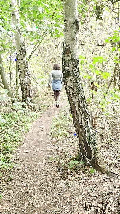 A short walk in the woods and a part strip