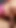 Jaw-dropping moment from "Two blond sluts sharing a delicious cock in front of friends"