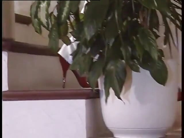 Pesta kongkek awek blonde Perancis liar Riviera