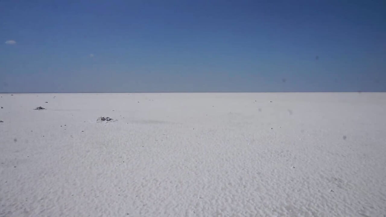 Sal branco do deserto