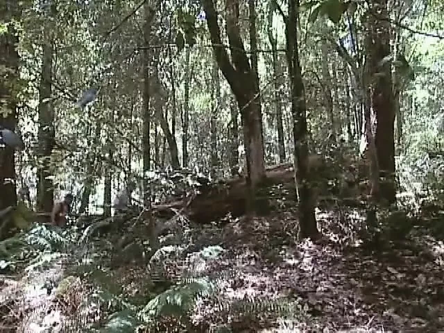 Mens Room 3: Ozark Mtn. Exit 8