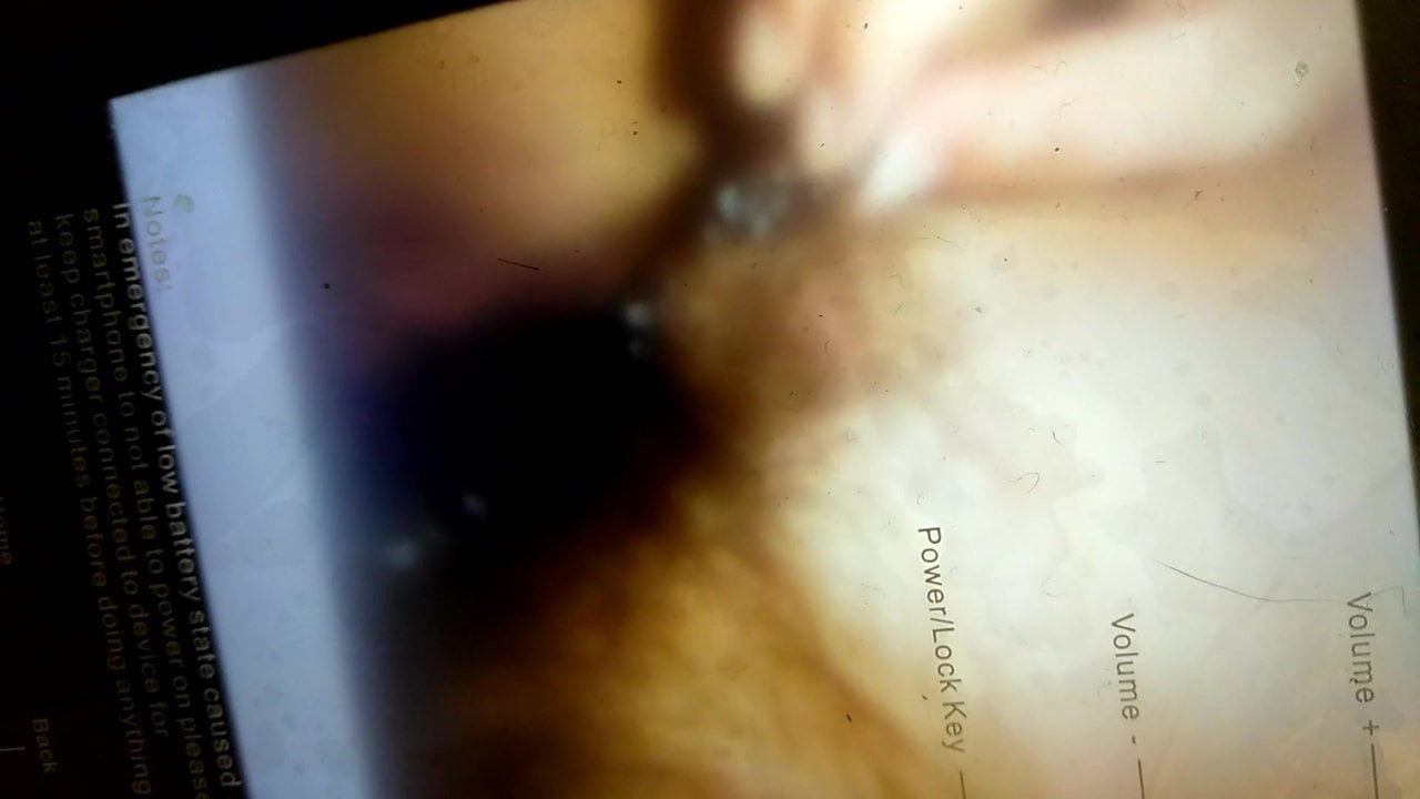 2MollyTribute