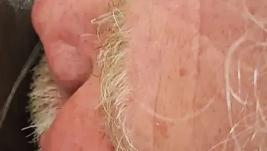 Little Blue Nasty liebt es, beobachtet zu werden