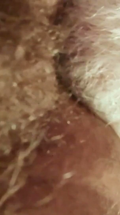 Daddy feasting on a beautiful hairy hole | Clip 1