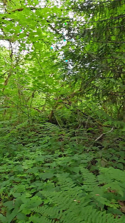 Hitting The Trail Nude
